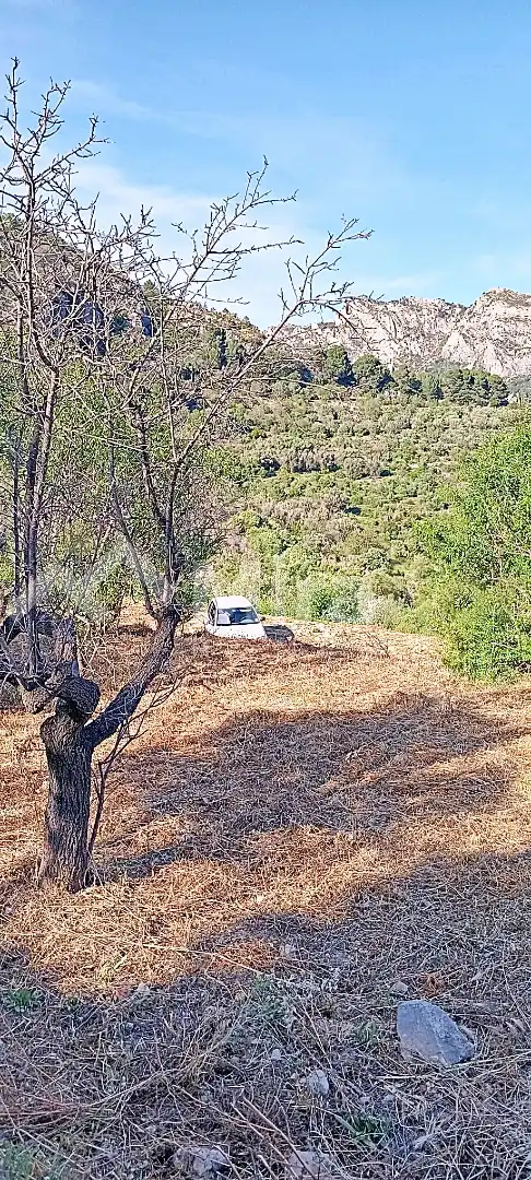 Terreny rústic en venda a Castell de Castells, imagen 3