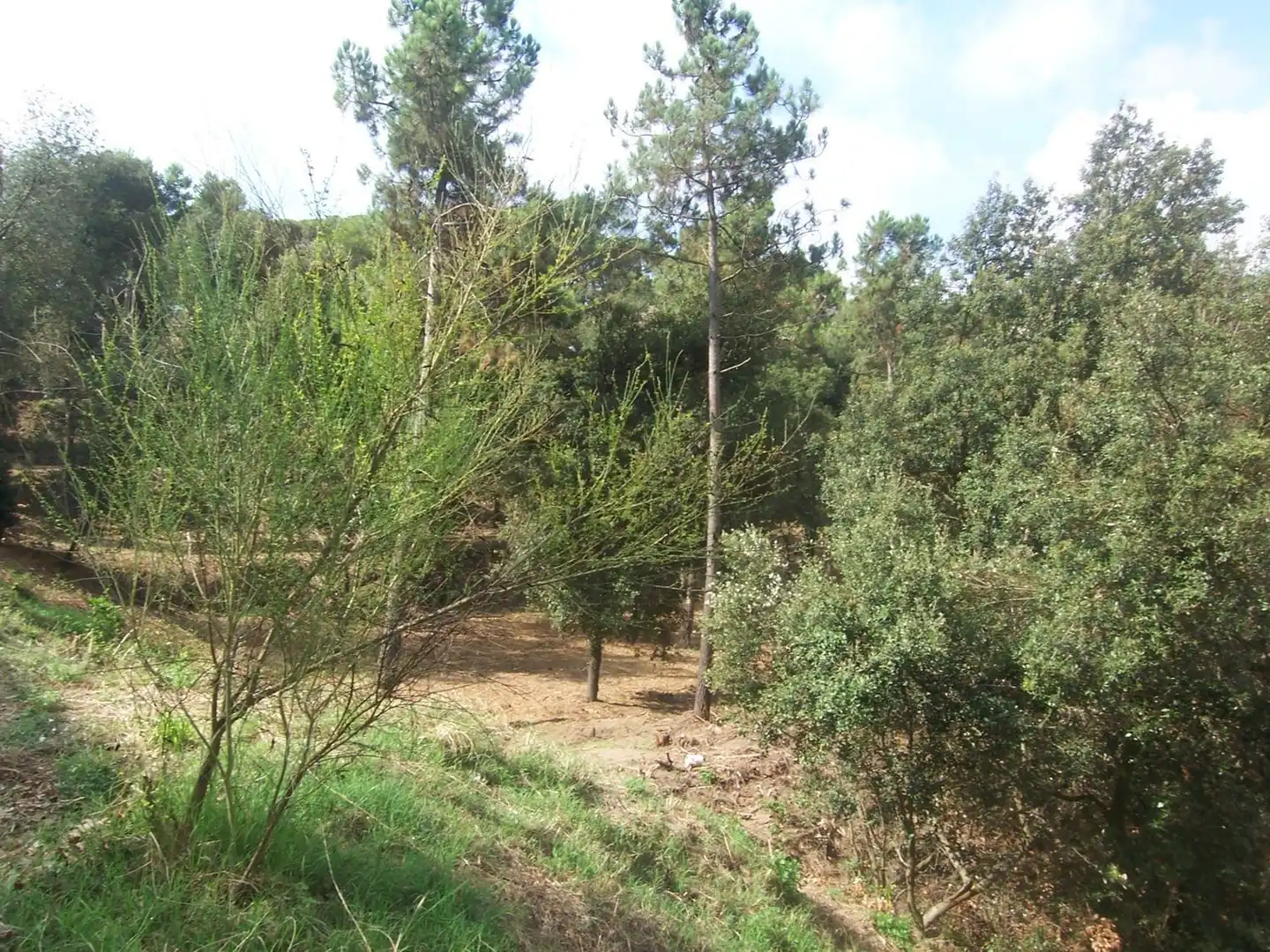 Terreno residencial en venta en Sant Fost de Campsentelles, imagen 3