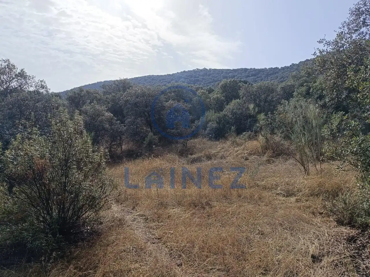Lands and plots for sale in Espiel, imagen 12