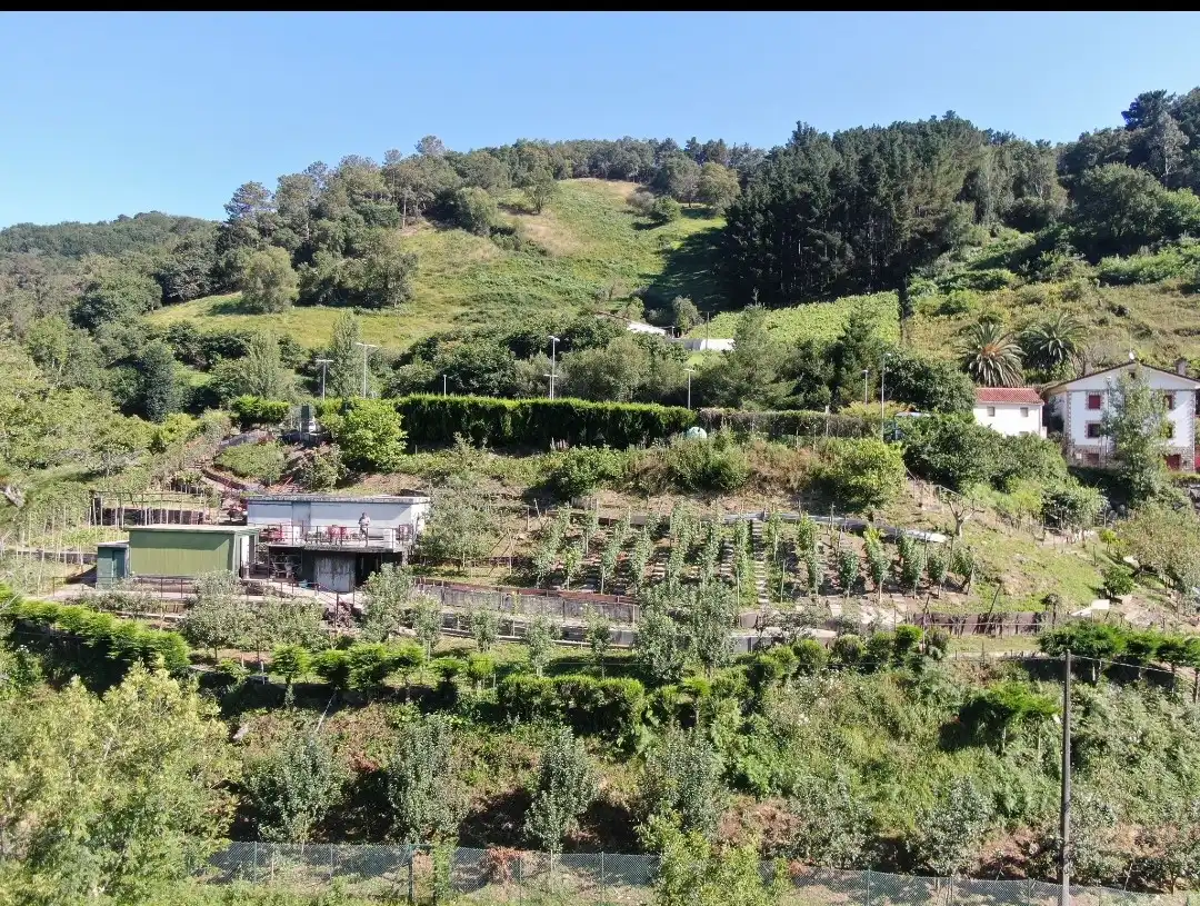 Garten von Grundstücke zum Verkauf in Zarautz