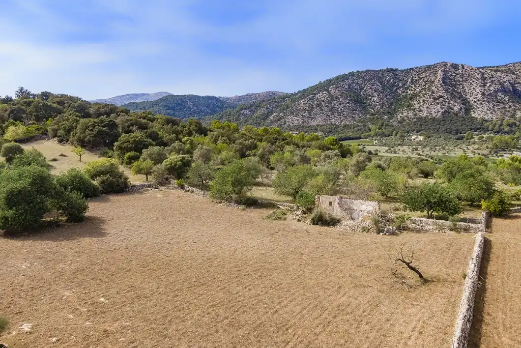 Terreno rustico in vendita a Pollença Poble, imagen 3