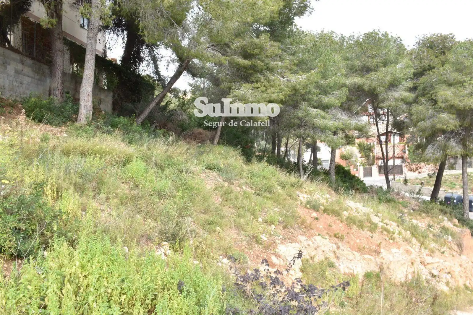 Rural land for sale in GLADIOL, imagen 3