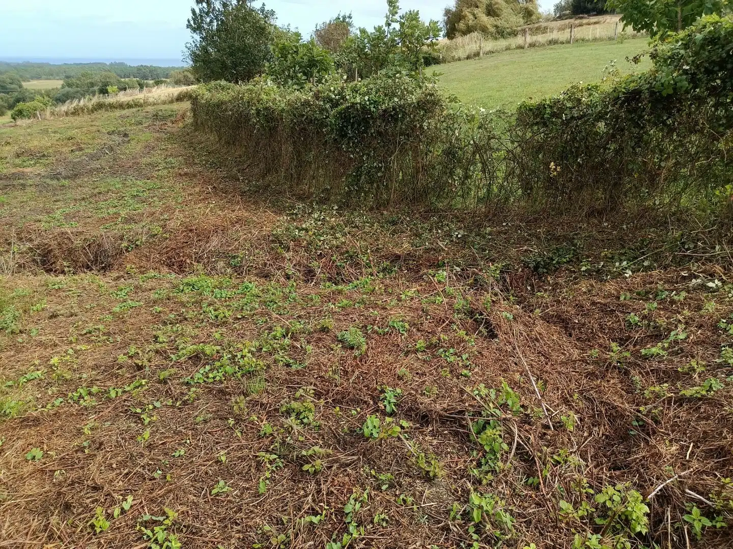 Terrain résidentiel à vendre à TC-5 8, imagen 3