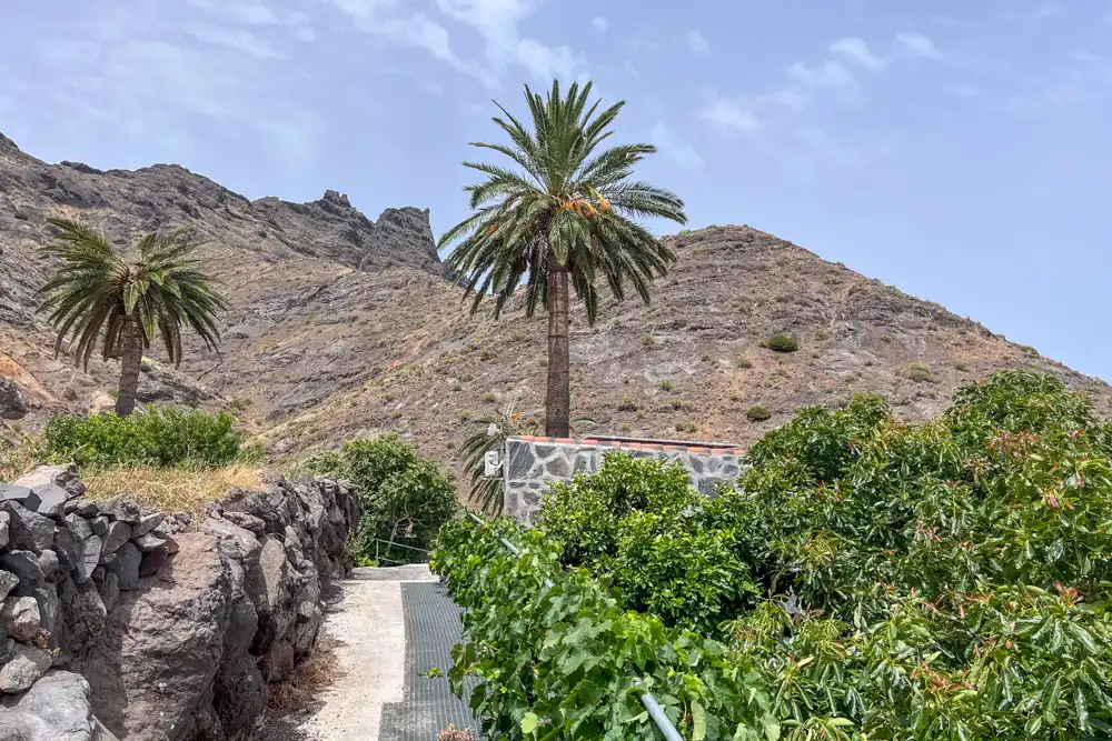 Vista exterior de Finca rústica en venda en Vallehermoso amb Terrassa