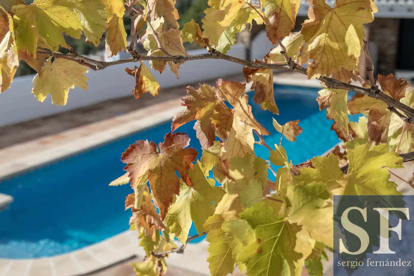 Casa en venta en Cómpeta, imagen 16