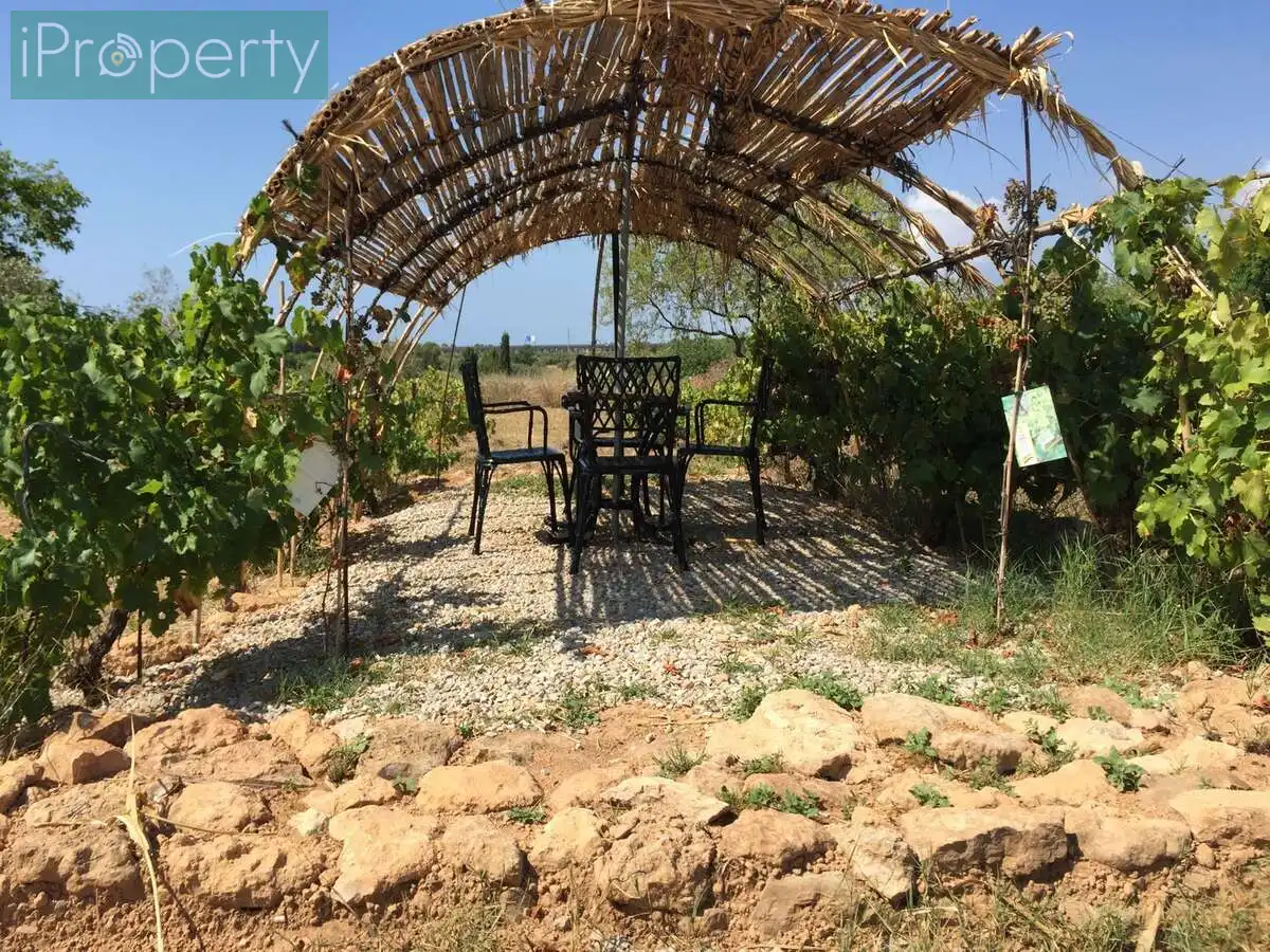 Jardín de Finca rústica en venta en El Vendrell con Aire acondicionado, Calefacción y Jardín privado