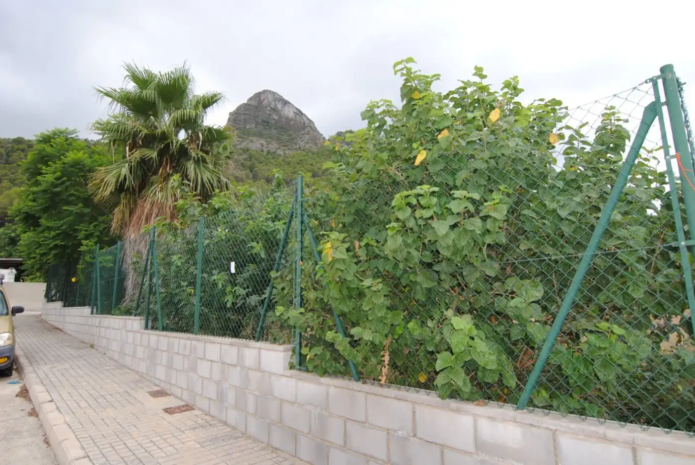 Garten von Residential zum Verkauf in Gandia