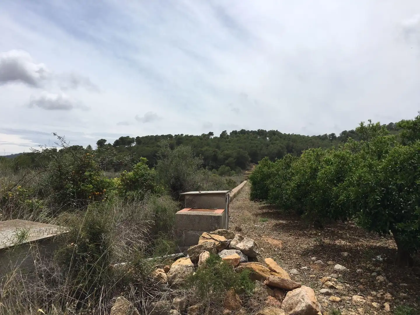 Rural land for sale in Ptda Miravet, imagen 9