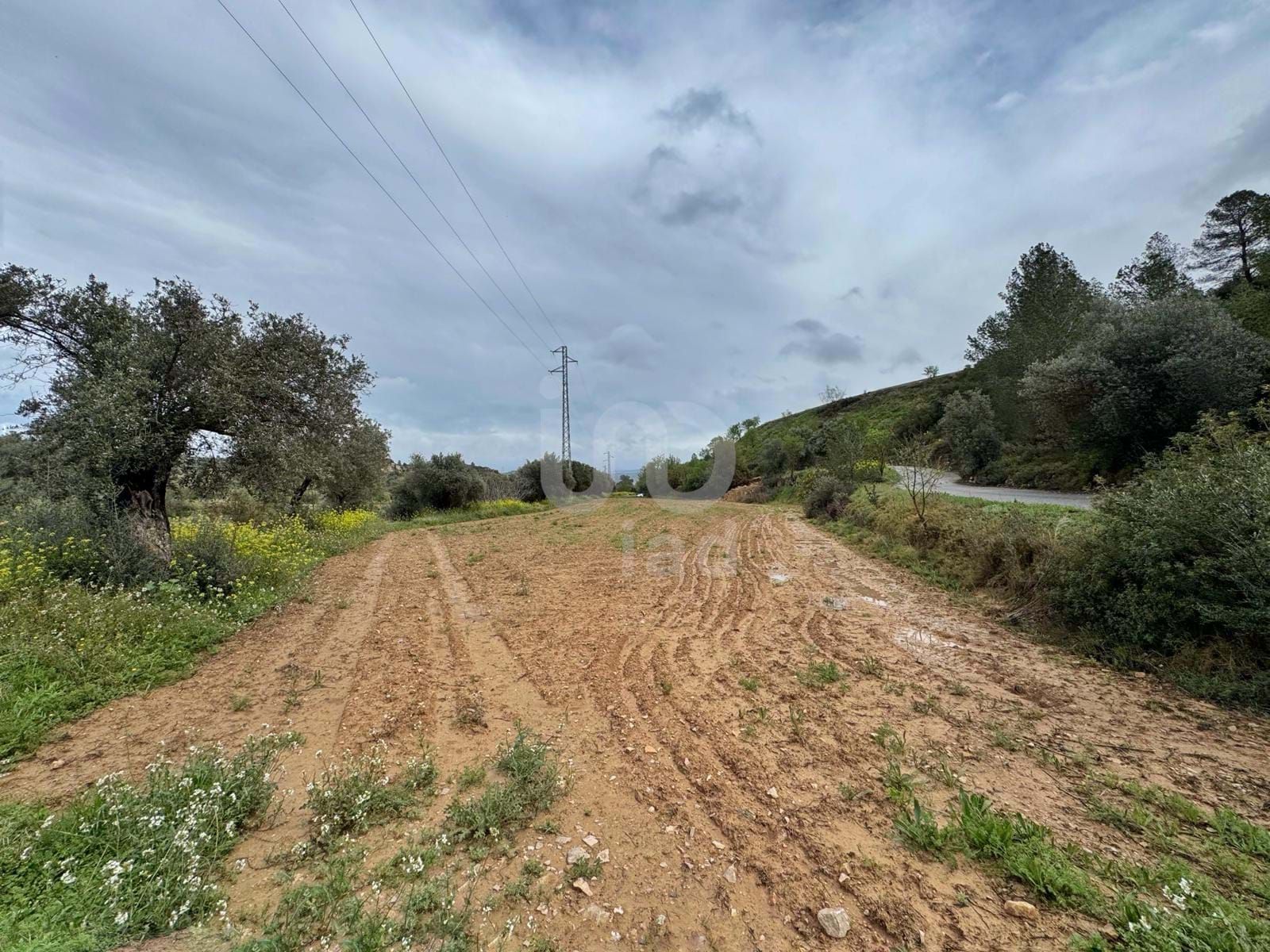 Residencial en venda en Ascó