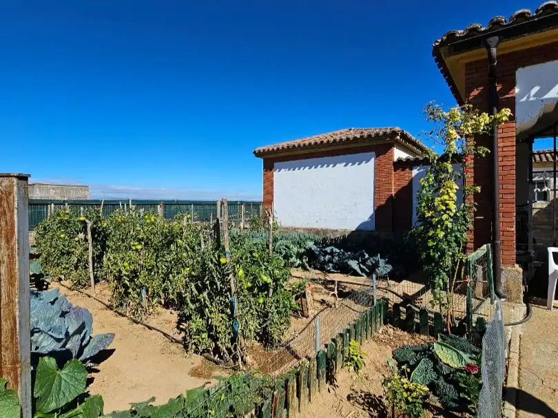 Garten von Geschaftsraum zum Verkauf in Osorno la Mayor mit Terrasse