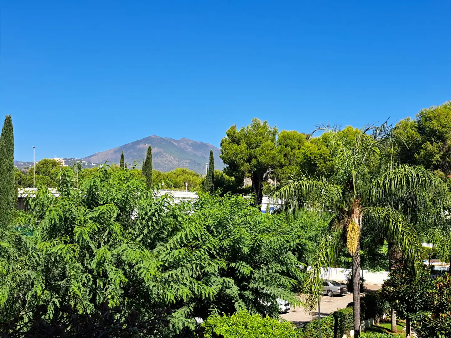 Wohnung mit Pool zur Miete in Nueva Andalucía, imagen 7