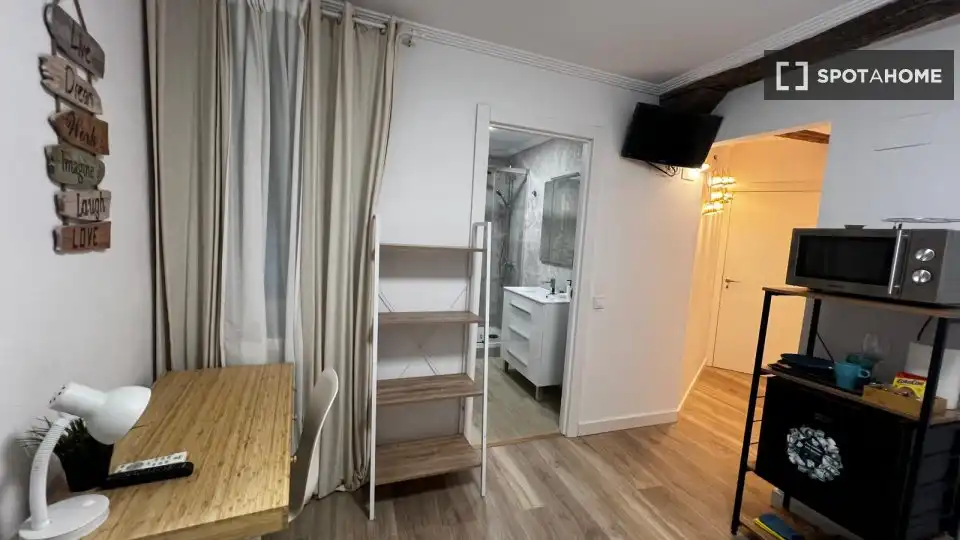 Bedroom of Study for share in Bilbao   with Air Conditioner, Terrace and Furnished