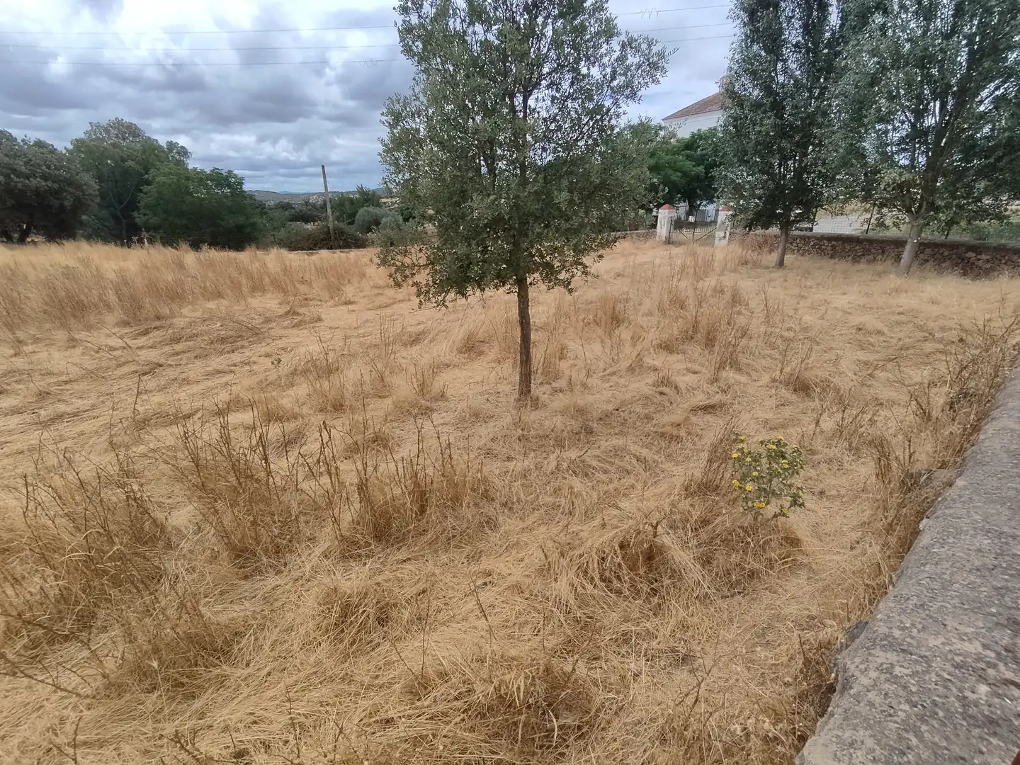 Terreno rustico in vendita a Burguillos del Cerro, imagen 7