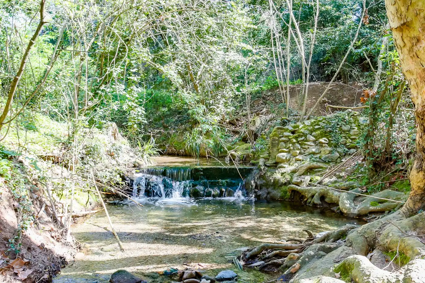 Vista exterior de Finca rústica en venta en Sant Antoni de Vilamajor