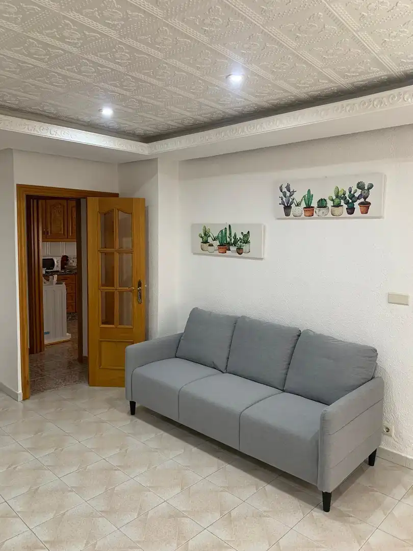 Sala de estar de Piso para compartir en Elche / Elx