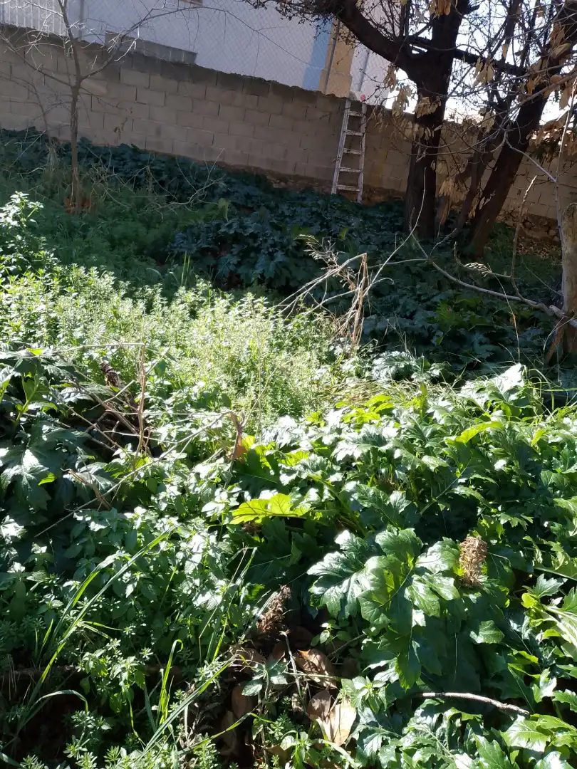 Wohnbaugrundstück zum Verkauf in Lanjarón, imagen 5