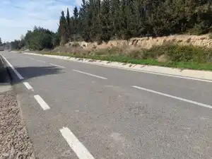 Rural land for sale in Vallmoll, imagen 15