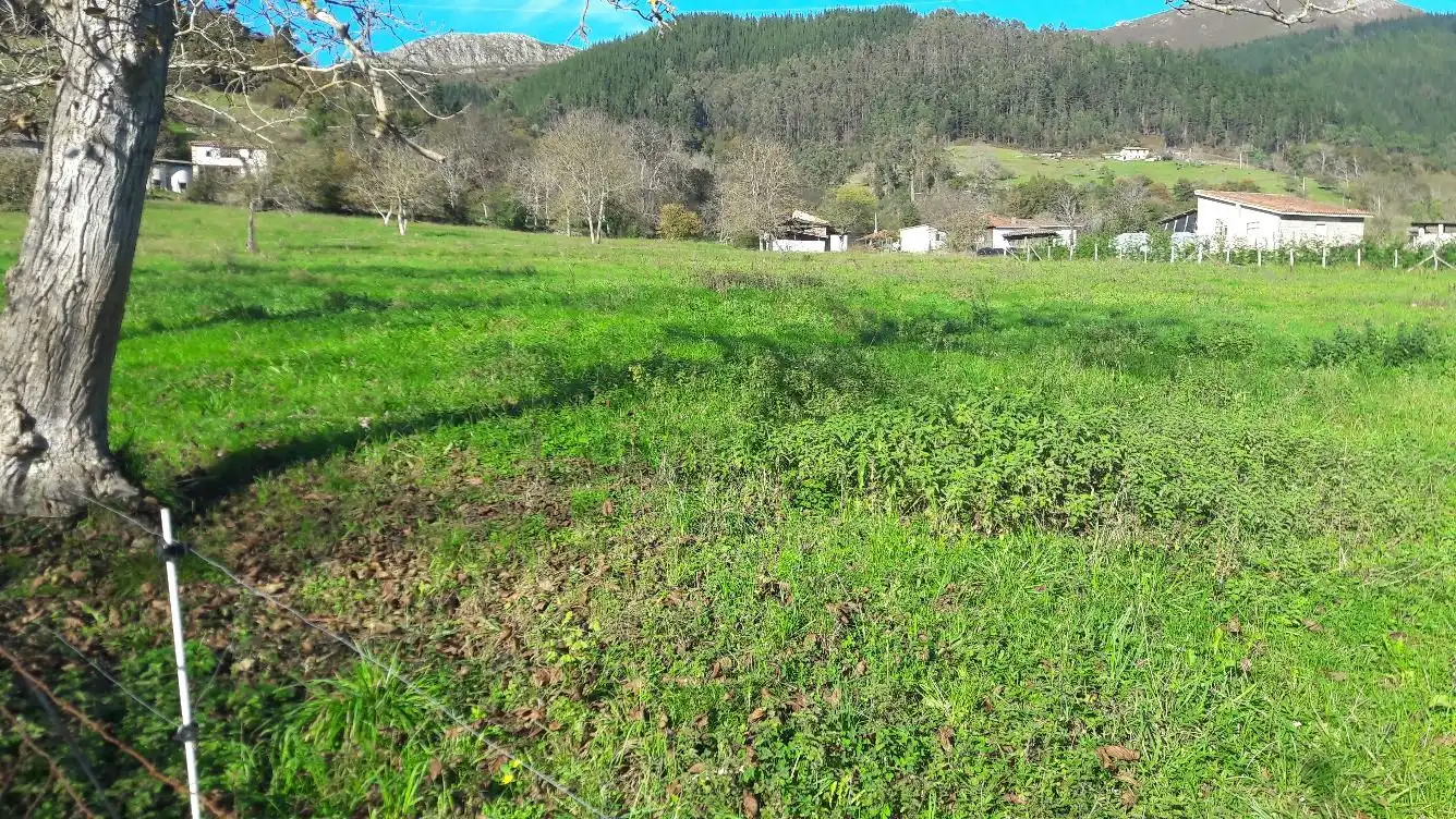 Terrenos y solares en venta en Bode, imagen 3