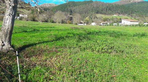 FINCA EDIFICABLE CERCA DE ARRIONDAS, immagine 3