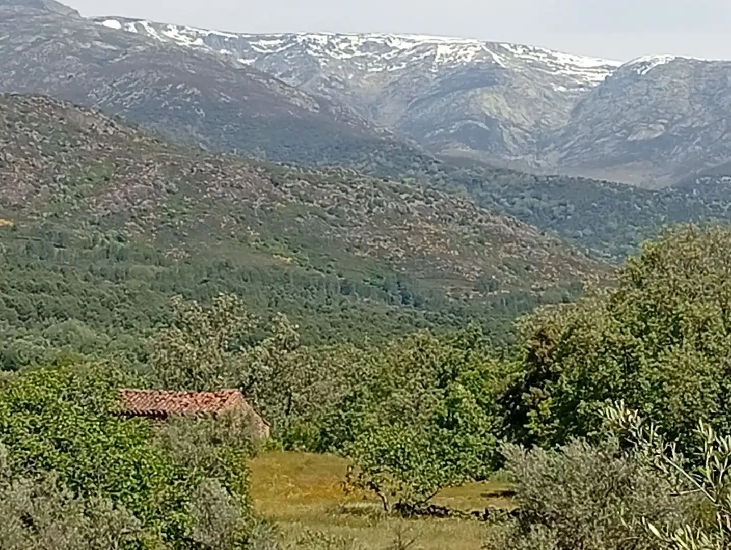 Terreni e lotti in vendita a Villanueva de la Vera, imagen 20