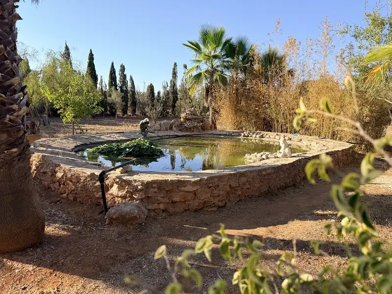 Jardín de Casa o chalet en venta en Llucmajor con Aire acondicionado, Calefacción y Jardín privado