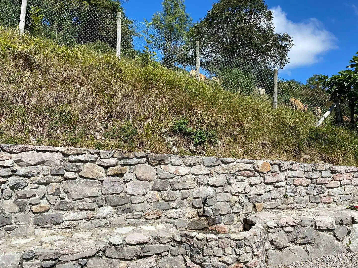 Land for sale in Cangas de Onís