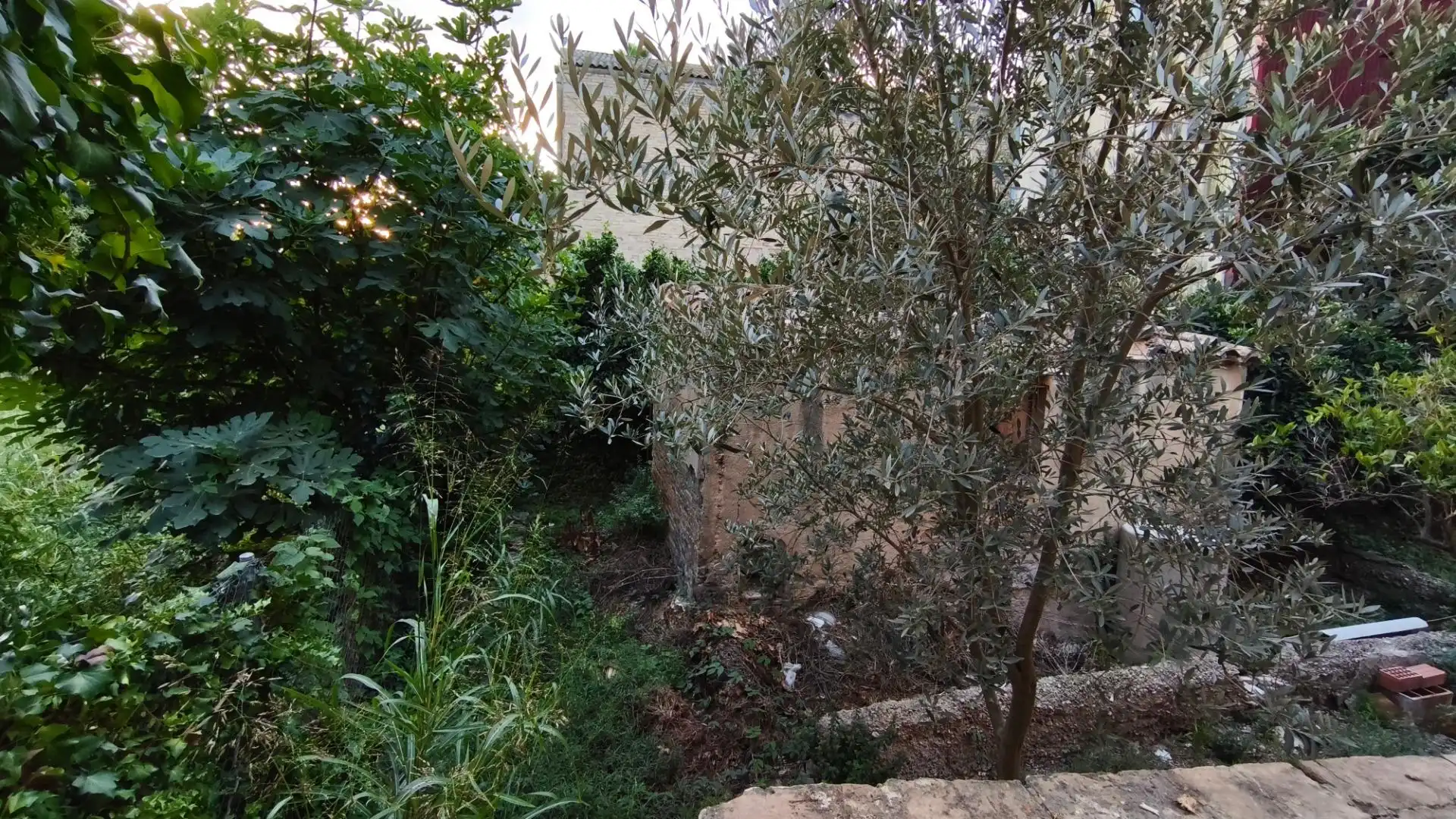 Jardí de Edifici en venda en Roquetes