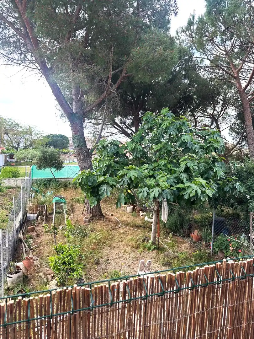 Jardín de Casa adosada en venta en Botarell con Jardín privado, Parquet y Amueblado