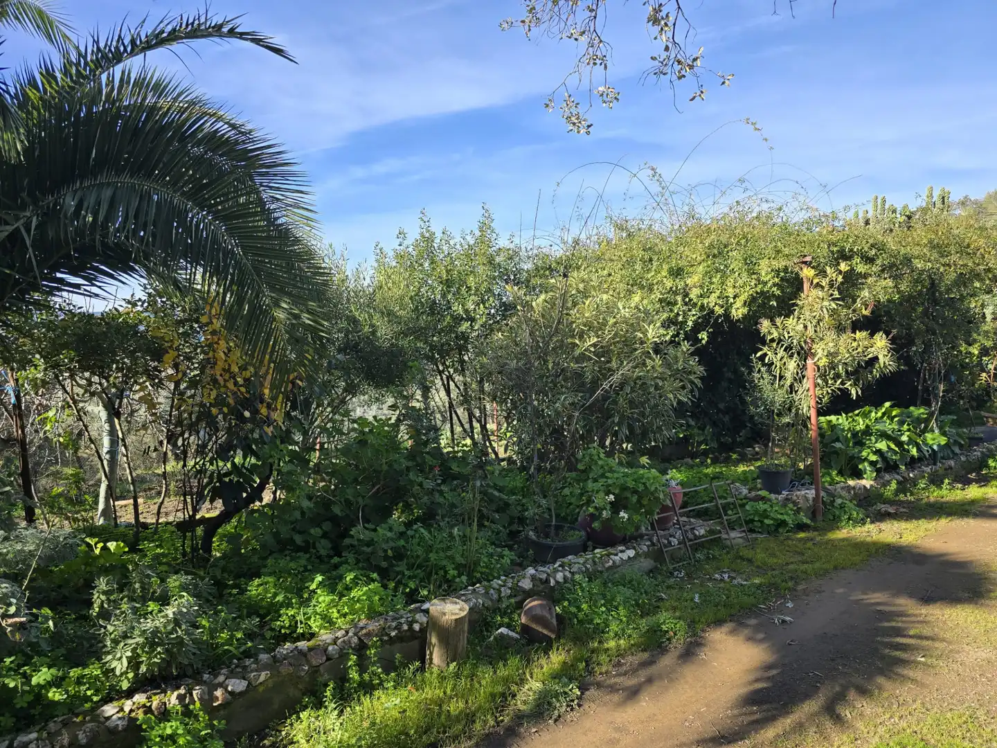 Casa rústica en venta en Pozoblanco, imagen 17