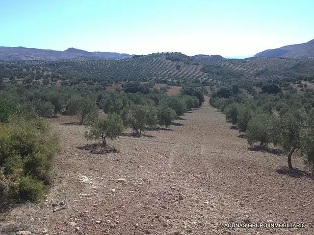 Lands and plots for sale in Bobadilla - Bobadilla Estación - La Joya, imagen 13
