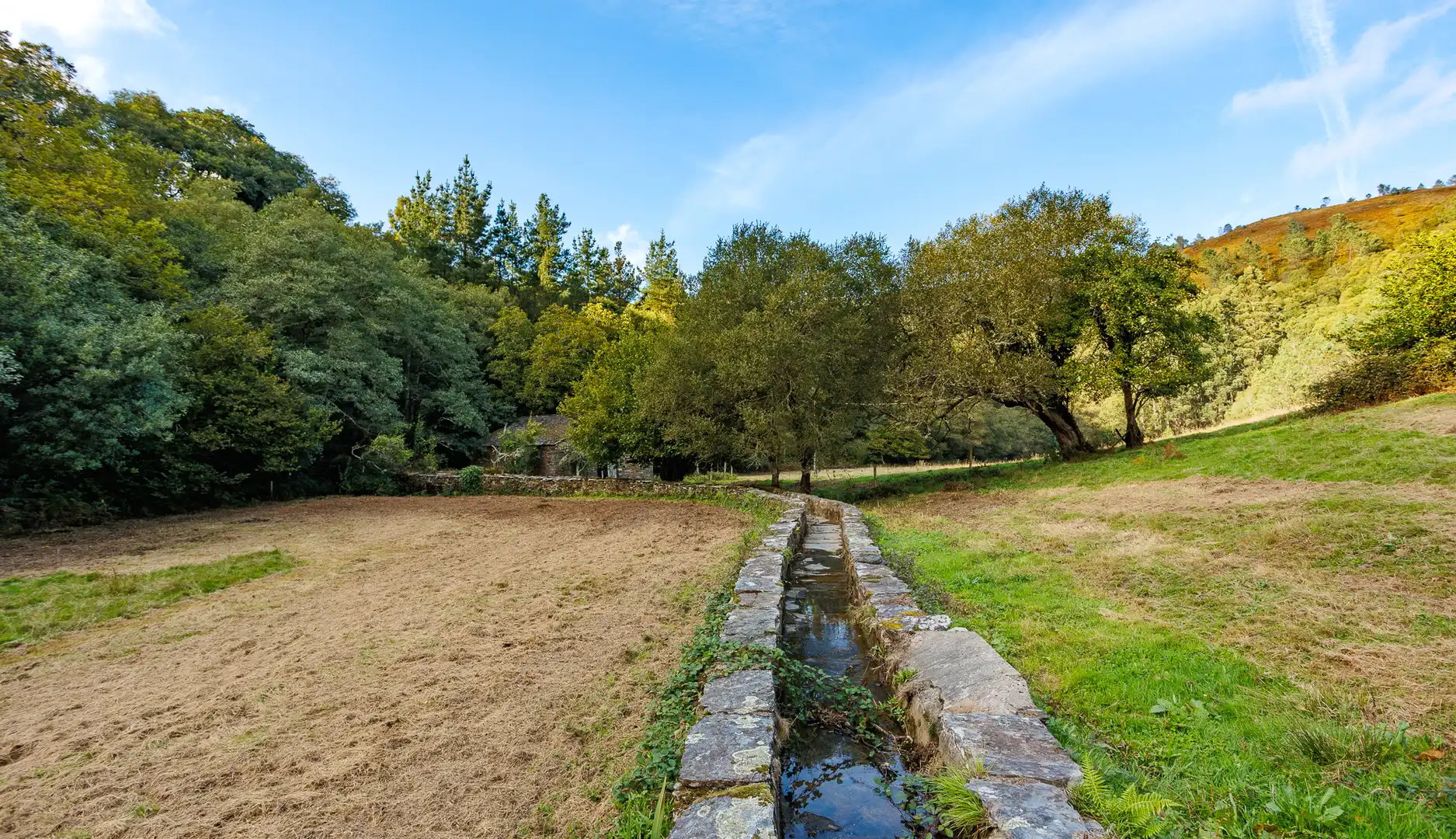 Finca rústica en venta en Ourol con Amueblado