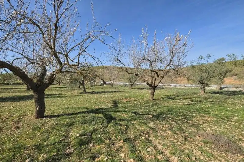 Terreno rustico in vendita a El Valle, imagen 15