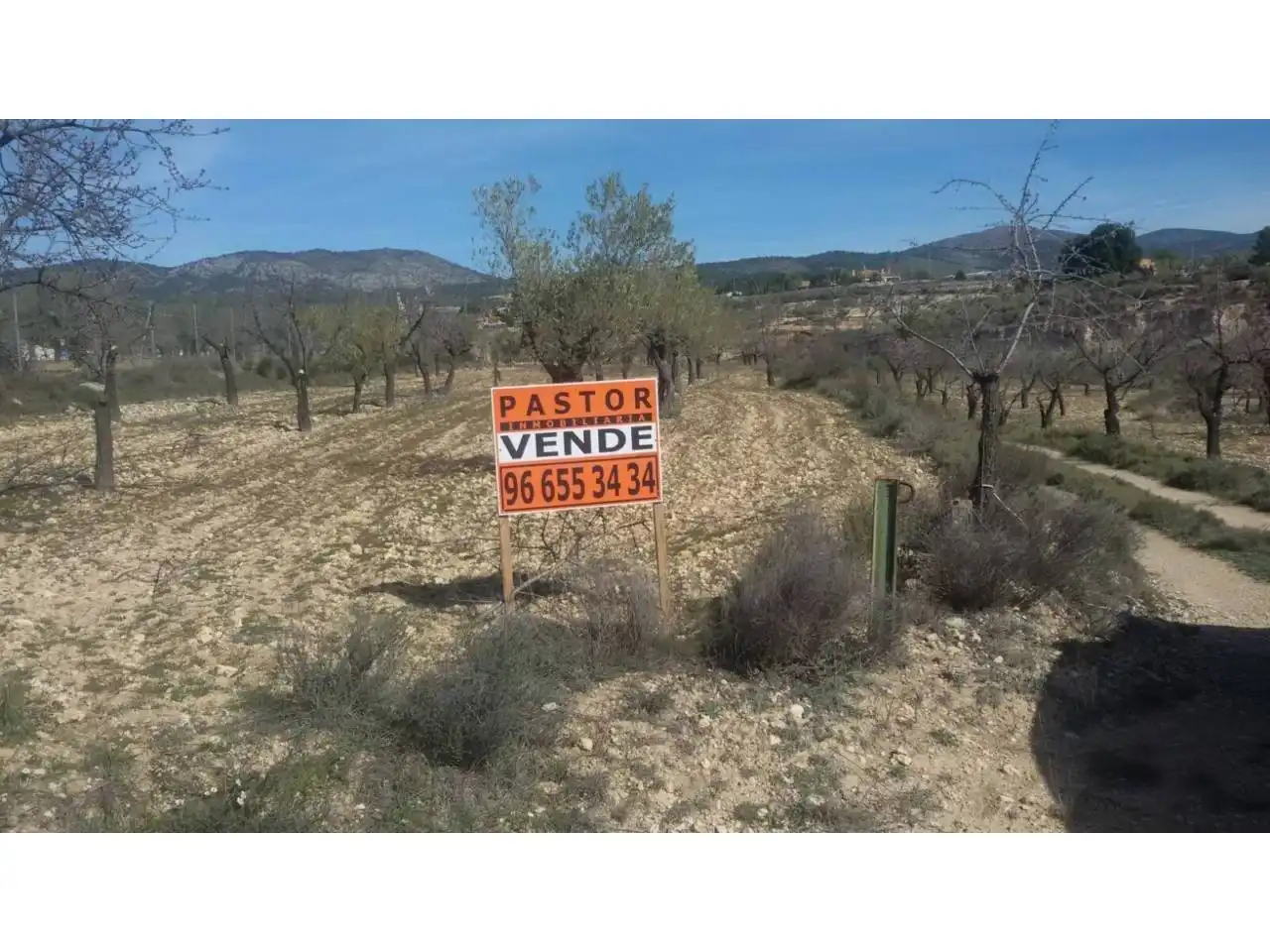 Terreno rústico en venta en Pasaje L´ALFAS
