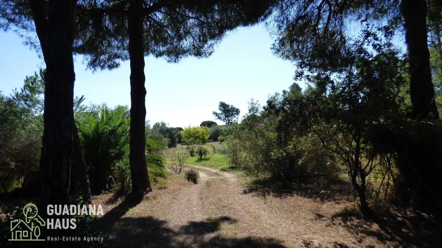 Country homes for sale in Villablanca  with Private garden, Terrace and Storage room