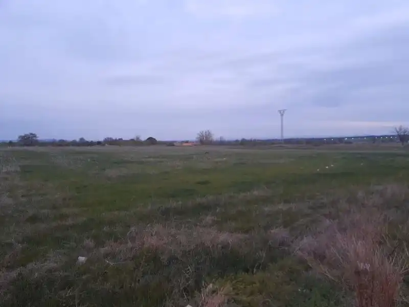 Terreni e lotti in vendita a Pedanias