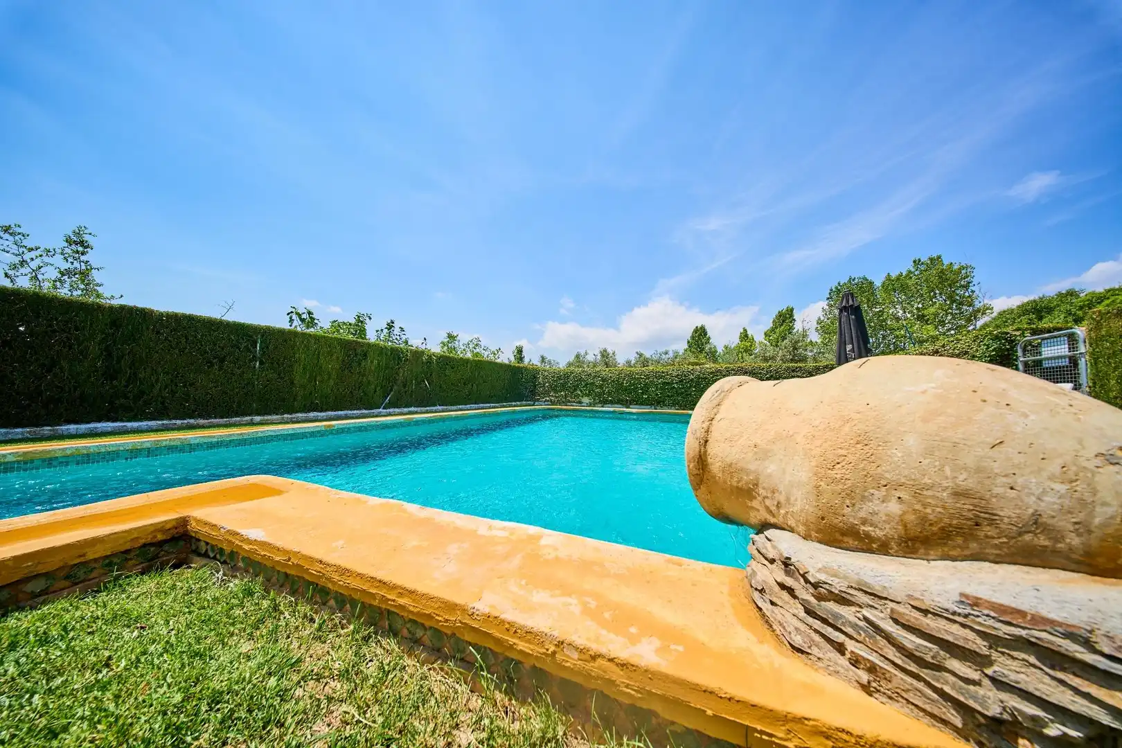 Piscina de Finca rústica en venta en Caniles