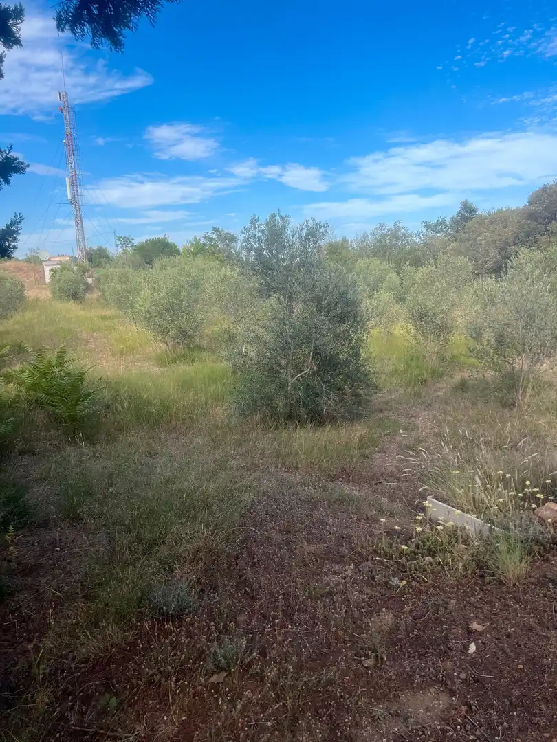 Terreno rustico in vendita a Almoster, imagen 7