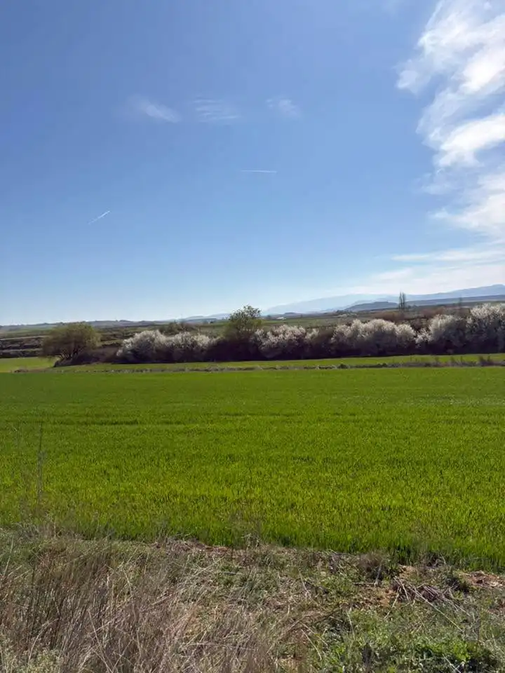 Rustikales Grundstück zum Verkauf in Villamediana de Iregua, imagen 5