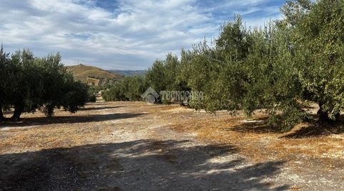 Terrenos en venta en Jódar, immagine 3