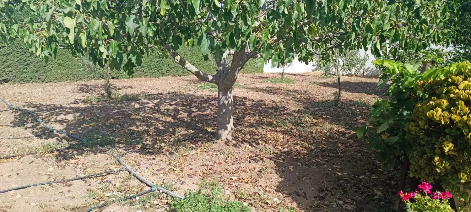 Casa rústica en venda a San José del Valle, imagen 7