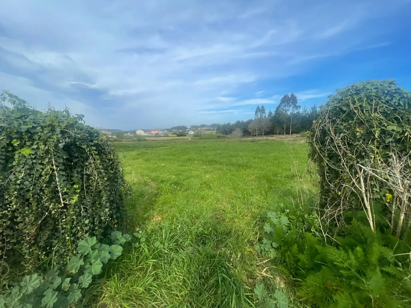 Terrenos y solares en venta en A Pedrosa, imagen 7