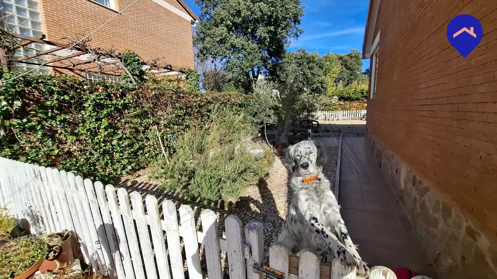 Jardín de Casa o chalet en venta en Pioz con Jardín privado, Internet y Alarma