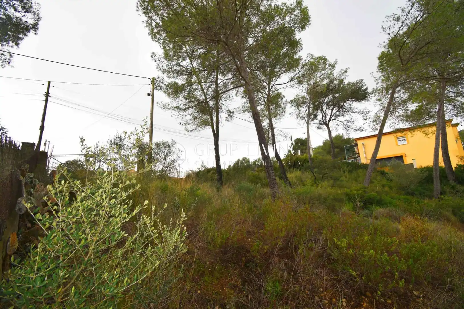 Terreno residencial en venta en Olivella, imagen 15
