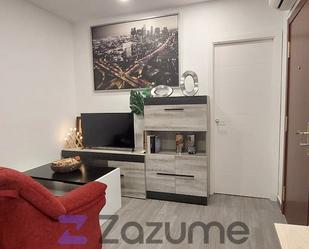 Sala d'estar de Pis de lloguer en  Madrid Capital amb Aire condicionat, Calefacció i Moblat