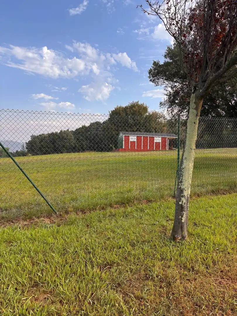 Rural land for sale in Erandio, imagen 11