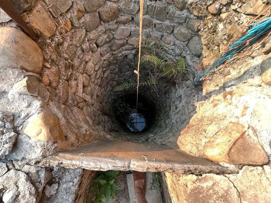 Finca rústica en venta en Ponferrada