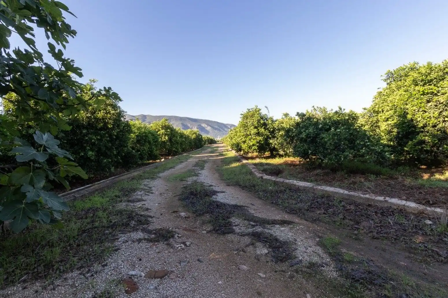 Maison à vendre à Benifairó de la Valldigna - HORTA, imagen 44