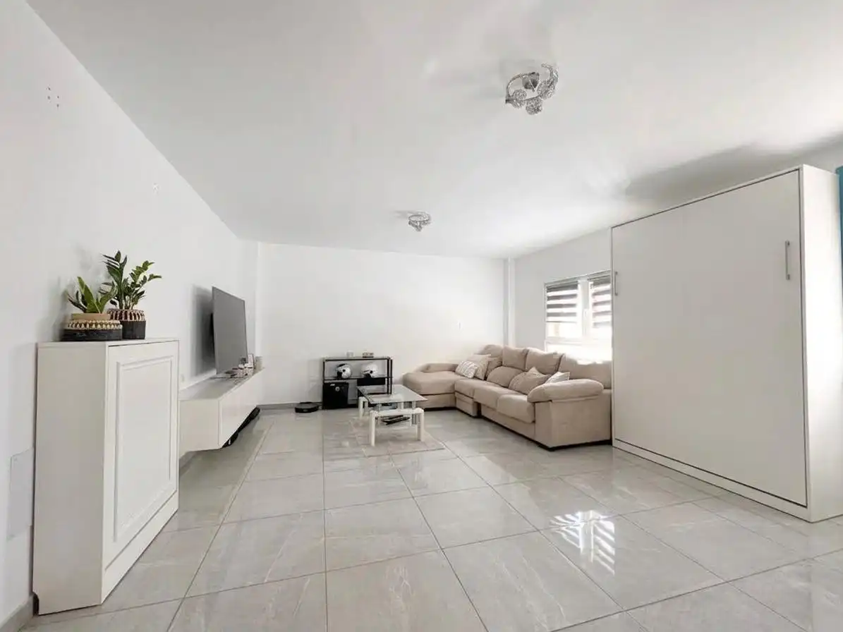 Sala d'estar de Loft en venda en Málaga amb Aire condicionat