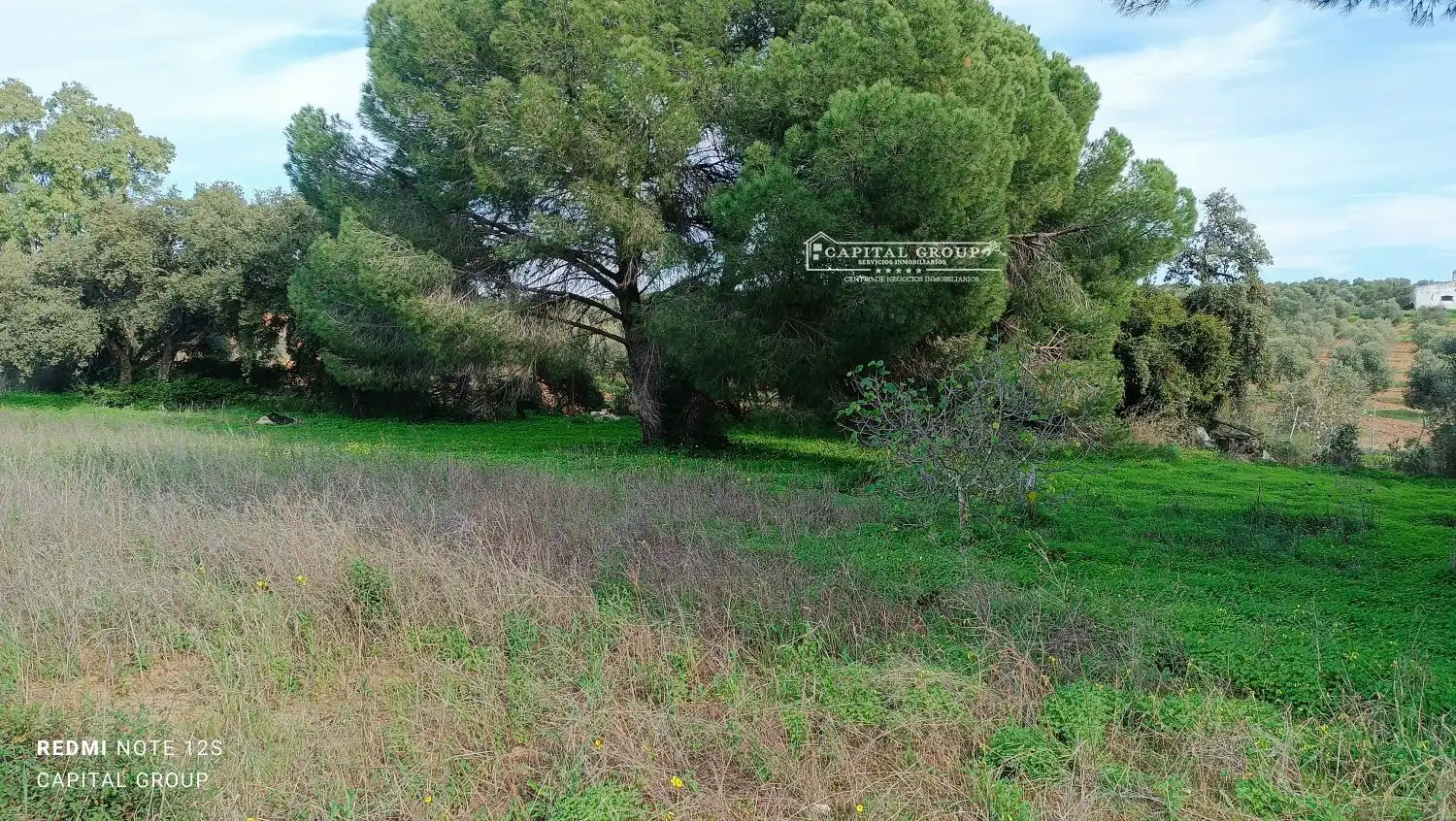 Terrenos y solares en venta en Gibraleón, imagen 36