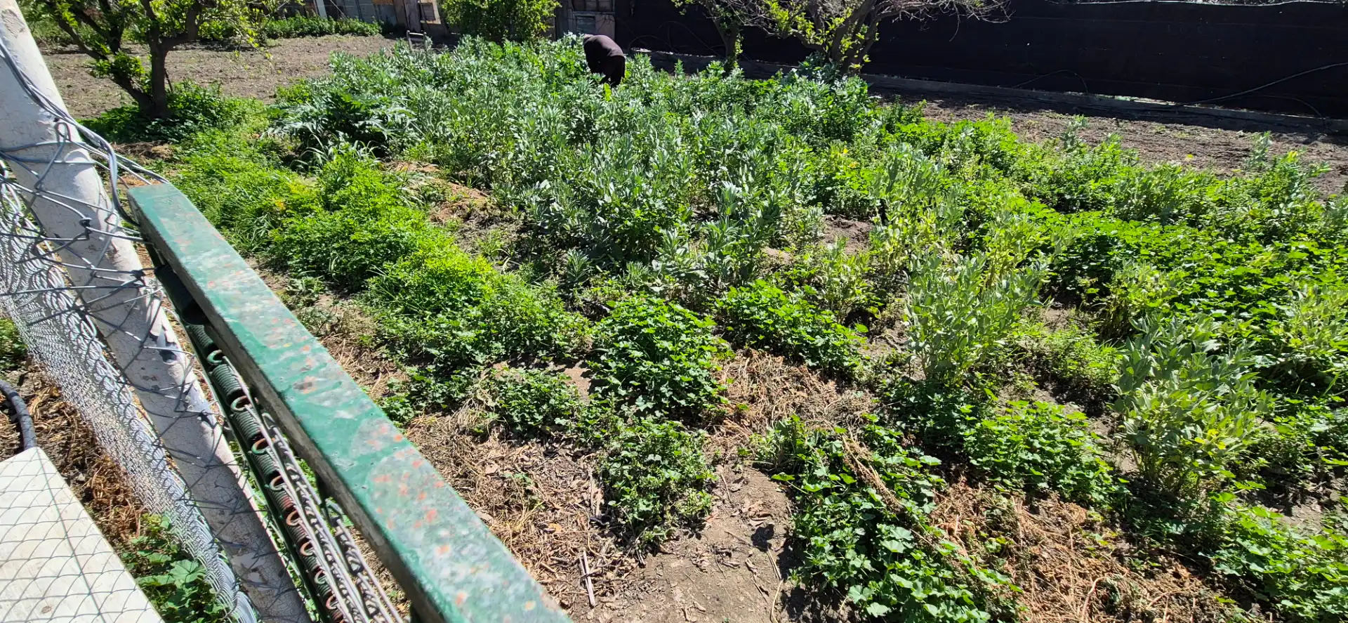 Jardí de Finca rústica en venda en Benahadux